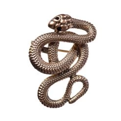 Parallel Soul Serpent Brooch By Banned Apparel