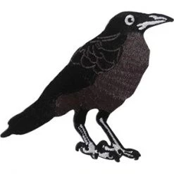 C & D Visionary Crow Patch