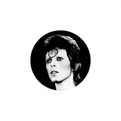 C & D Visionary EVERYTHING ELSE David Bowie Black & White Button