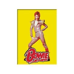 C & D Visionary EVERYTHING ELSE David Bowie Pose Magnet