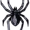 C & D Visionary Black Widow Spider Patch