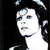 C & D Visionary NEW ARRIVALS David Bowie Black & White Patch