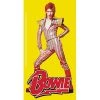 C & D Visionary David Bowie Pose Sticker EVERYTHING ELSE