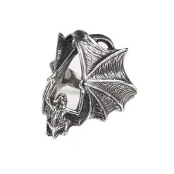 Alchemy Of England ACCESSORIES Stealth Ring