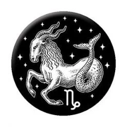 C & D Visionary EVERYTHING ELSE Capricorn Zodiac Sign Button