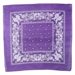 Naked City Clothing Classic Bandana In Purple ACCESSORIES