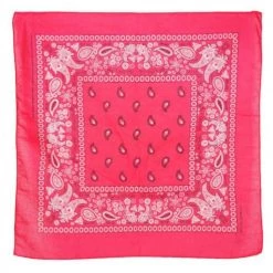 Naked City Clothing Classic Bandana In Hot Pink ACCESSORIES