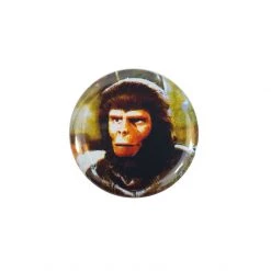 Eddie Phalen EVERYTHING ELSE Zira Button