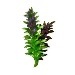 Erstwilder ACCESSORIES Lest We Forget Brooch