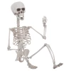Loftus EVERYTHING ELSE Posable 28" Skeleton
