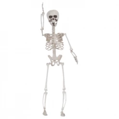 Loftus EVERYTHING ELSE Posable 28" Skeleton 7 Loftus EVERYTHING ELSE Posable 28