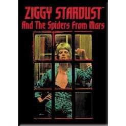C & D Visionary David Bowie Ziggy Stardust Magnet