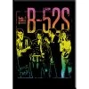 C & D Visionary B-52s Magnet EVERYTHING ELSE