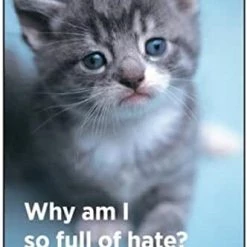 Ephemera Why Am I So Full Of Hate? Magnet