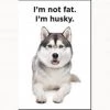 Ephemera I'm Husky Magnet