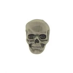 Eagle Emblems EVERYTHING ELSE Skull Pin