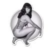 Retro-a-go-go! EVERYTHING ELSE Bettie Page Vixen Vinyl Sticker