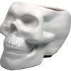 Streamline Skull Planter